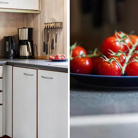 Prázdninový dům 1301-aakirkeby-fyrreskoven-11